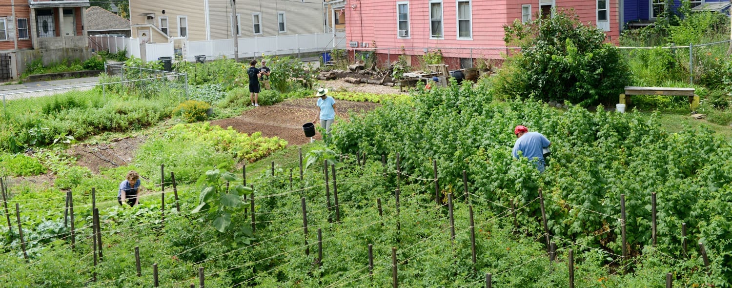 Gardens for Good Southside Community Land Trust The Garden Conservancy